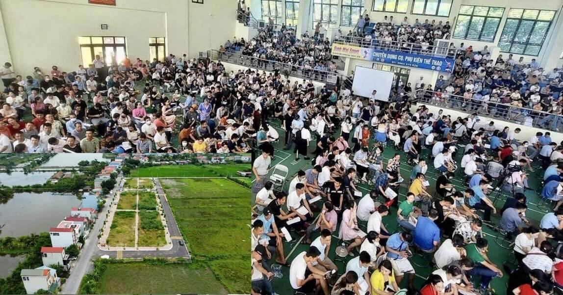 Sở TN-MT kiểm tra dấu hiệu bất thường đấu giá đất Hoài Đức, Thanh Oai