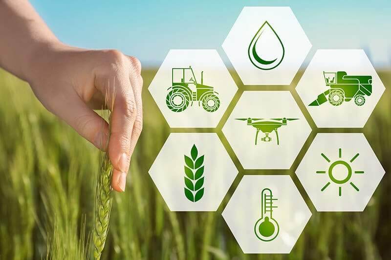 Chuyển đổi số là công việc khó, phải có quyết tâm cao, hành động quyết liệt