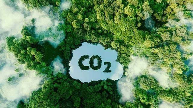Doanh nghiệp Ấn Độ tìm kiếm cơ hội đầu tư dự án tín chỉ carbon ở Việt Nam