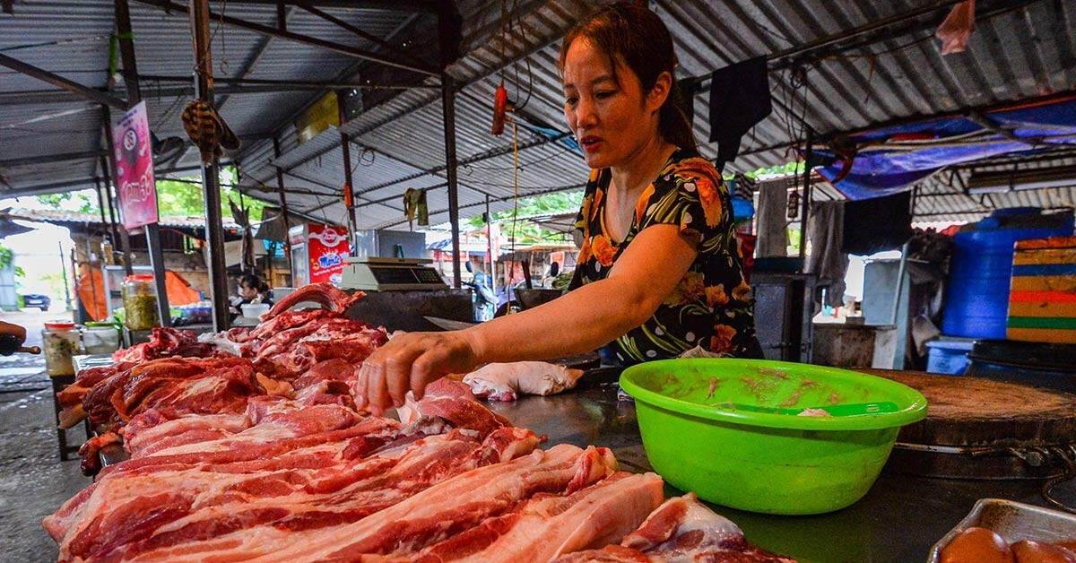 Giá thịt lợn lập đỉnh cao mới, chen chân mua thịt trâu chọi Đồ Sơn