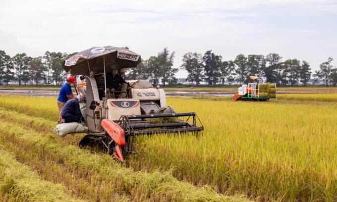 Rice exports top .8B in 8 months