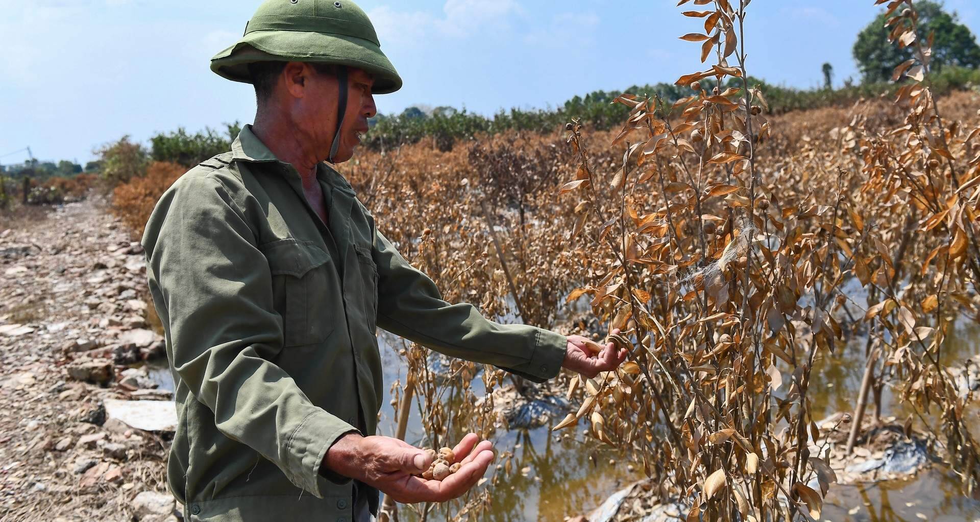 Xót lắm nhưng phải làm lại ngay thôi!