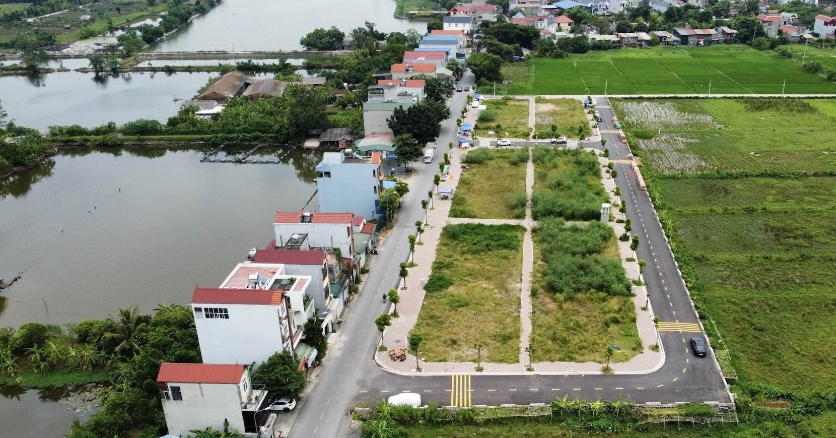 Phổ biến, mang tính tổ chức Phổ biến, mang tính tổ chức