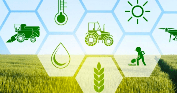 Đối tác nước ngoài trả giá cao cho sản phẩm sản xuất xanh, nhưng doanh nghiệp vẫn gặp khó Đối tác nước ngoài trả giá cao cho sản phẩm sản xuất xanh, nhưng doanh nghiệp vẫn gặp khó