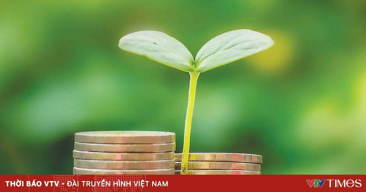 Tín dụng xanh chỉ chiếm 4,5% tổng dư nợ của nền kinh tế