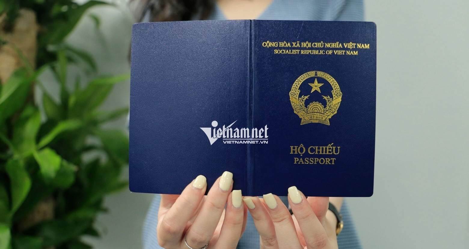 Cách tự xác định nợ thuế và có thể bị tạm hoãn xuất cảnh