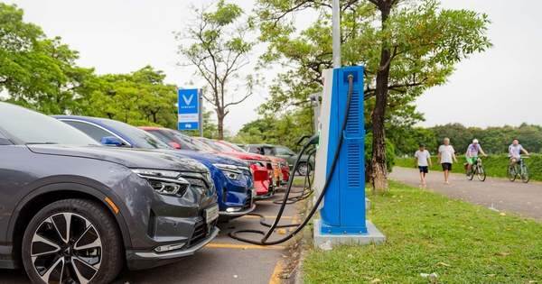 Chủ nhà hàng, cà phê, rửa xe… có thêm nghề mới