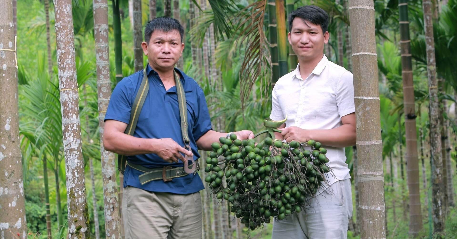 Giá cau cao kỷ lục, lão nông lắp chục ‘mắt thần’ phòng trộm