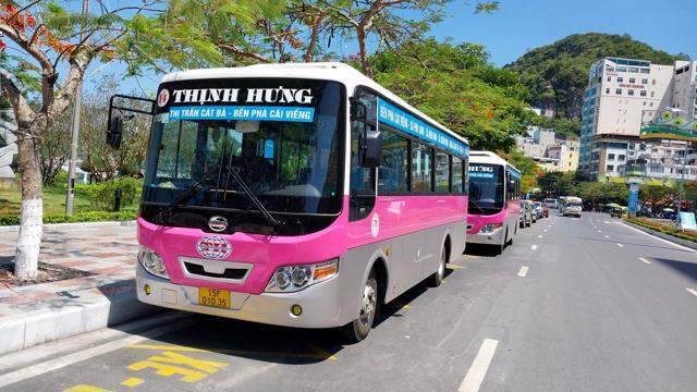 Hải Phòng bỏ quy hoạch phát triển xe buýt