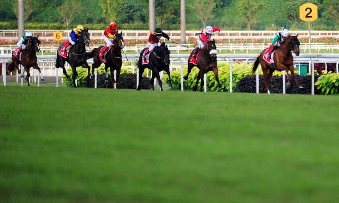 Horse racing in Singapore ends after 181 years to pave way for housing