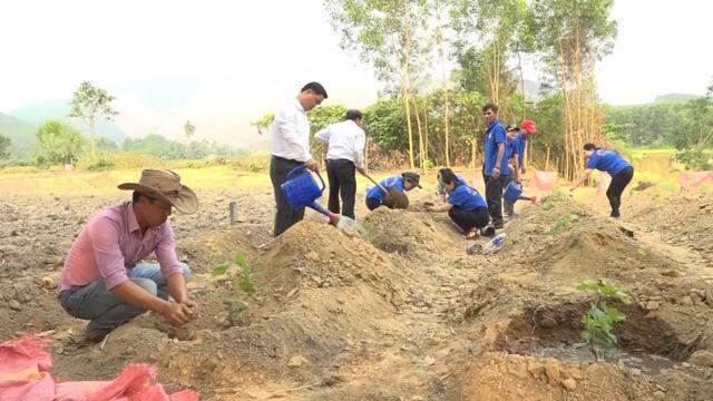 Nâng cao sức khoẻ đất để ngành trồng trọt phát triển bền vững