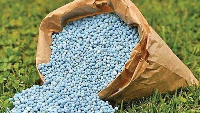 Nếu không được áp thuế VAT 5%, doanh nghiệp phân bón có nguy cơ suy giảm và ngừng sản xuất