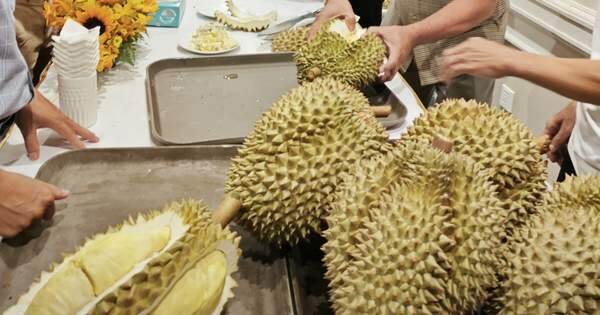 Nguồn thu đột biến từ sầu riêng chưa giúp công ty bầu Đức tăng doanh thu