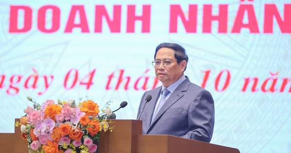 Việt Nam đã có một số doanh nghiệp đạt tầm vóc quốc tế
