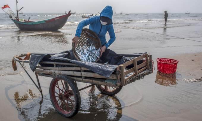 Vietnam earns over B from fishery exports in 9 months