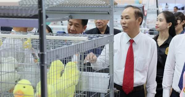 Xuất khẩu nông sản có thể đạt 61 tỉ USD