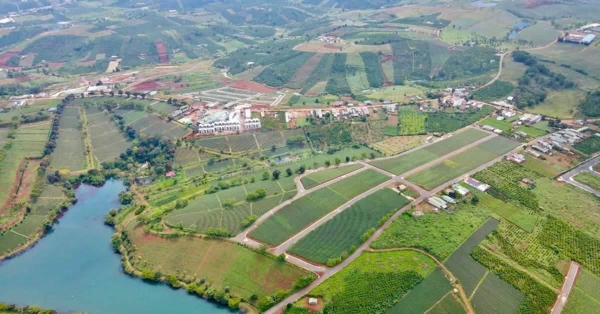 Lâm Đồng ra quy định mới, đất nông nghiệp sau tách thửa phải tiếp giáp đường đi Lâm Đồng ra quy định mới, đất nông nghiệp sau tách thửa phải tiếp giáp đường đi