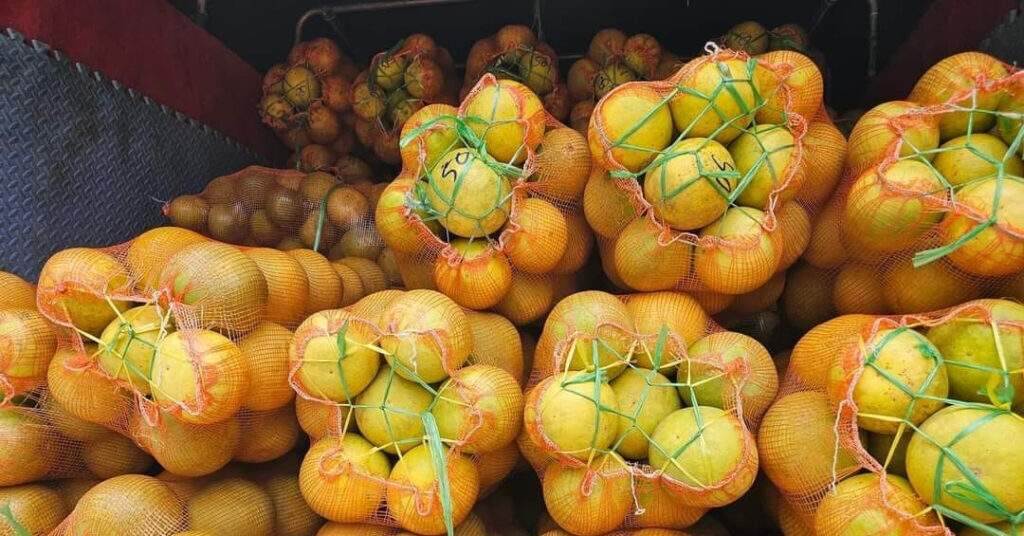 Bưởi Soi Hà giá 2.000 đồng/quả bán la liệt chợ, rẻ hơn cả hàng Trung Quốc Bưởi Soi Hà giá 2.000 đồng/quả bán la liệt chợ, rẻ hơn cả hàng Trung Quốc