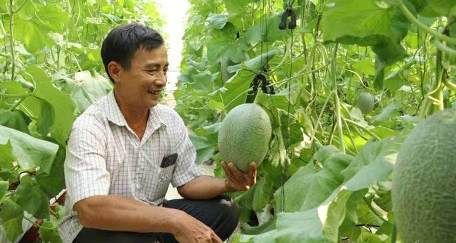 Đồng Nai phát triển nông nghiệp ứng dụng công nghệ cao Đồng Nai phát triển nông nghiệp ứng dụng công nghệ cao