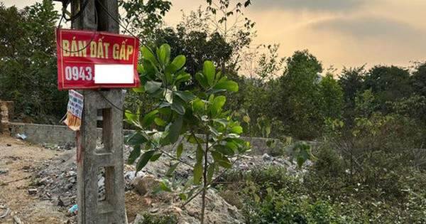 “Không mua lúc này thì mua lúc nào?”