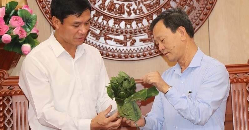 Kon Tum tặng 2.000 cây giống sâm Ngọc Linh cho Lai Châu trồng thử