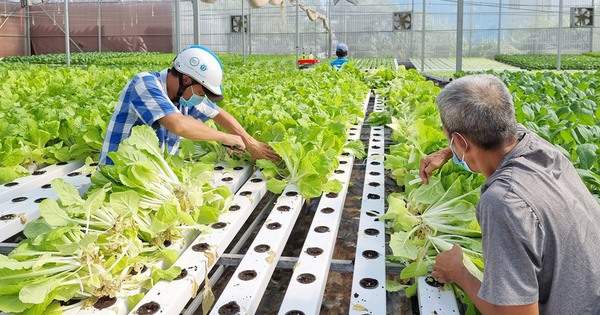 Phát triển nông nghiệp công nghệ cao là hướng đi tất yếu