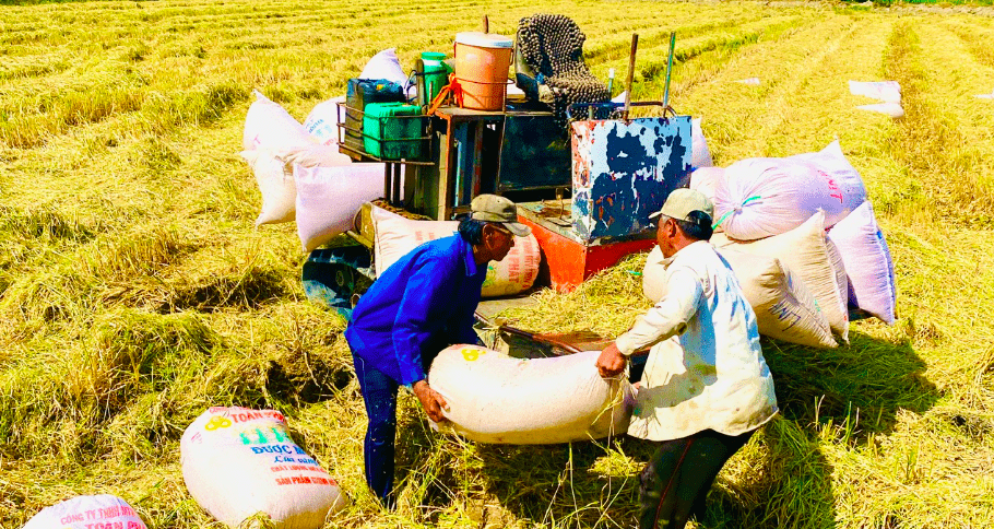 Tháng 10, Hậu Giang có thêm 123 doanh nghiệp mới thành lập