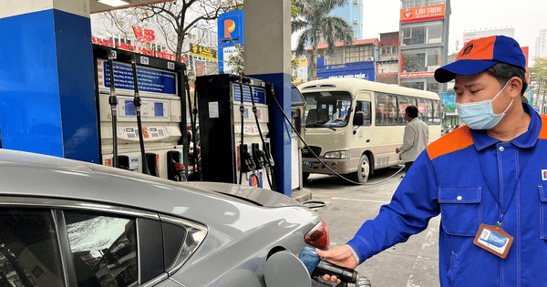 Tiếp đà tăng giá, thị trường nhiều biến động