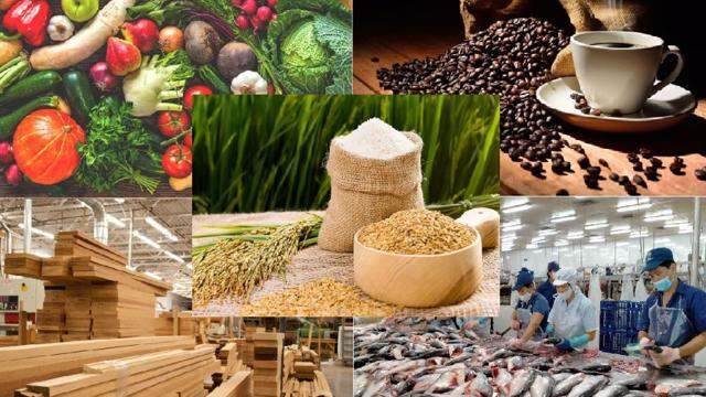 Xuất khẩu nông lâm thuỷ sản sắp hoàn thành mục tiêu dù chưa hết năm