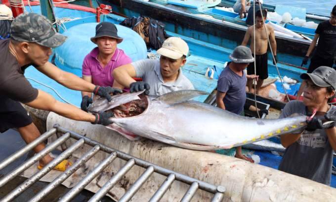 Agro-forestry-fisheries exports top B in 2024