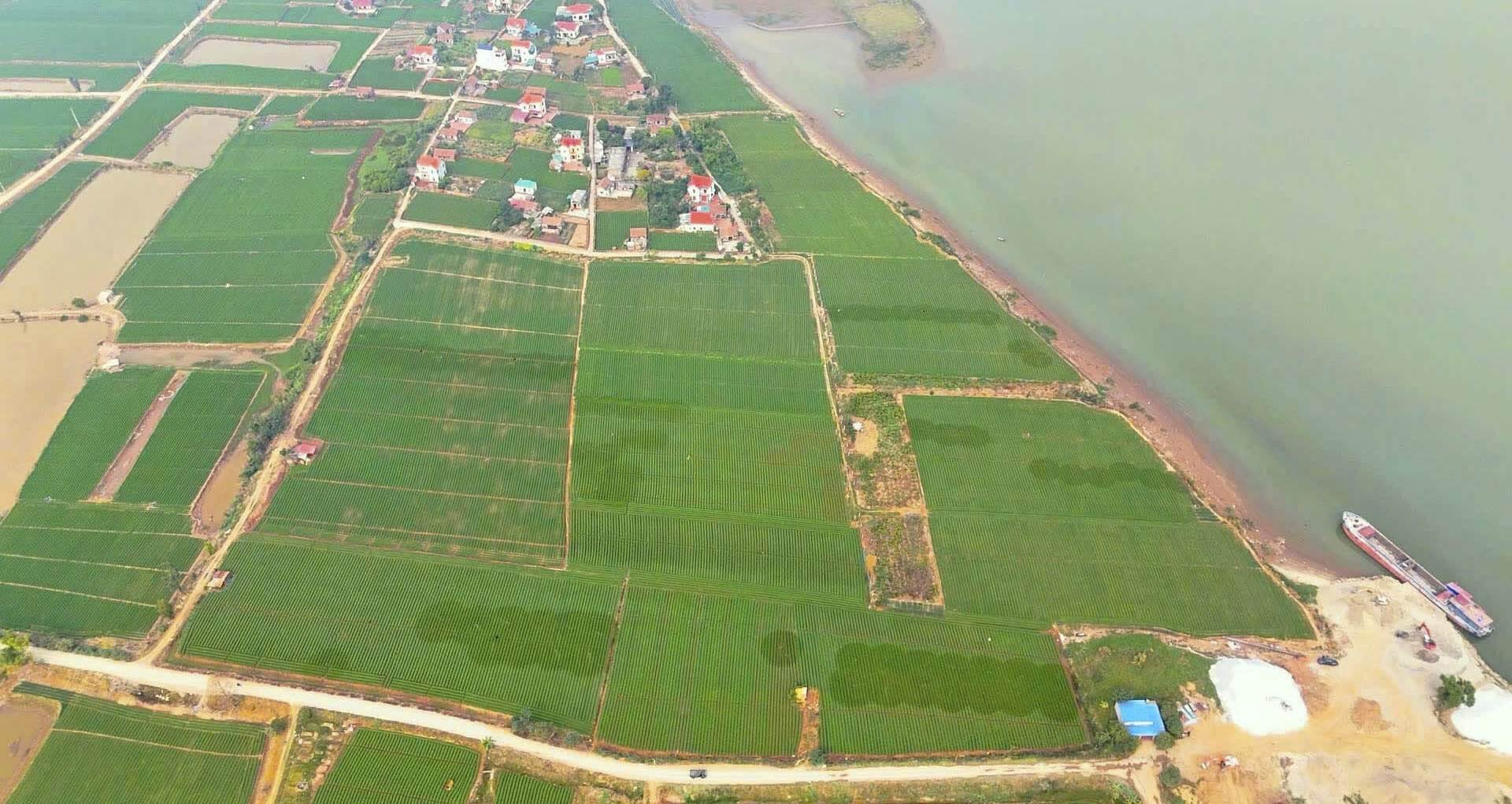 Bắc Ninh sẽ xây dựng cảng vận chuyển hàng hóa với tổng mức đầu tư gần 40 tỷ đồng