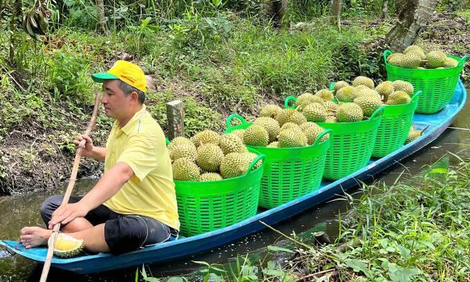 Durian prices plummet despite limited off-season supply