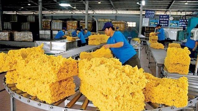 Giá trị xuất khẩu cao su tăng trên 17%, Trung Quốc vẫn là thị trường tiêu thụ lớn nhất của Việt Nam