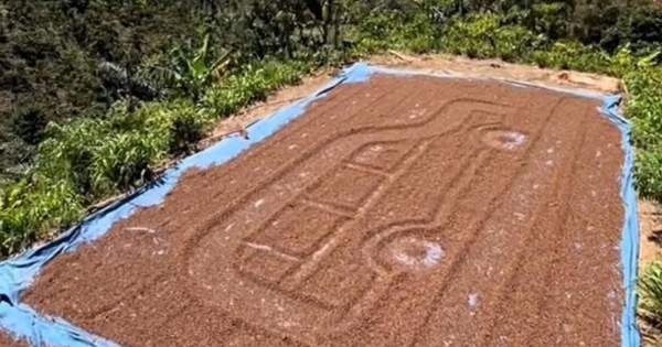 Lên mức cao, nhiều nông dân thành tỉ phú
