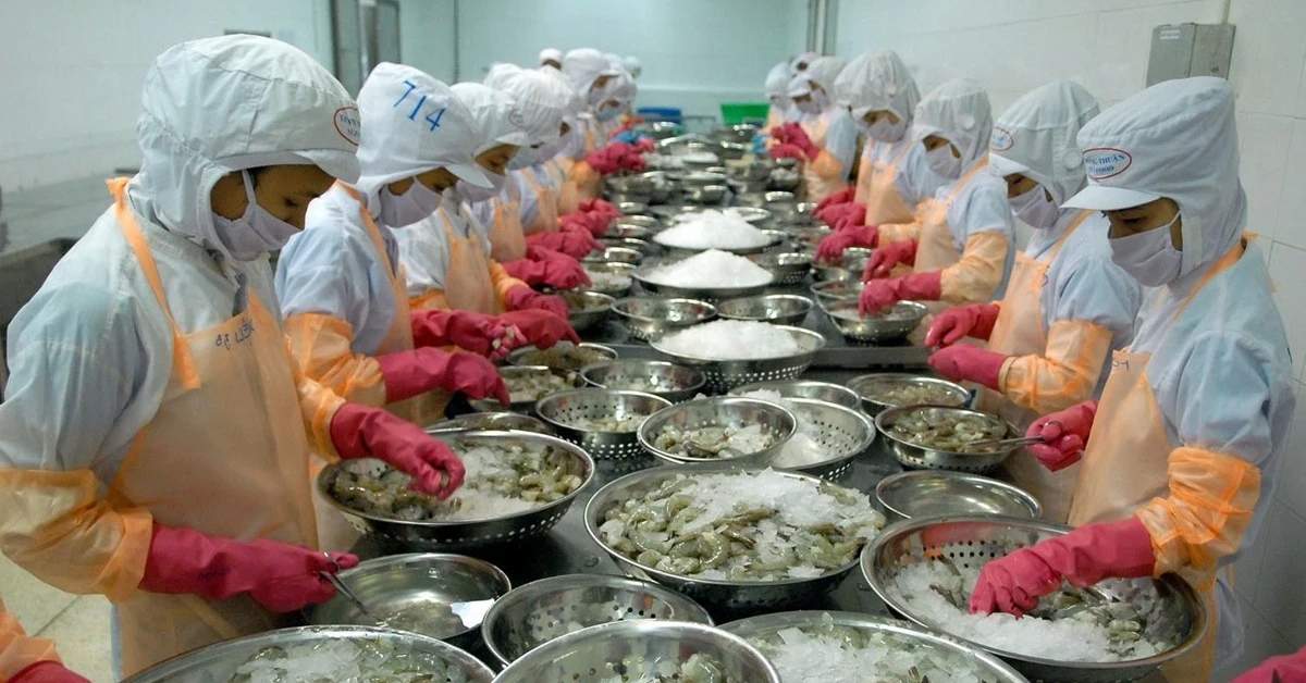 Năm 2024, xuất nhập khẩu của Việt Nam vượt 800 tỷ USD, nhưng xuất siêu chỉ 25 tỷ USD