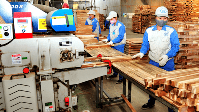 Ngành gỗ Việt Nam và Trung Quốc hợp tác xây dựng chuỗi cung ứng sản phẩm gỗ bền vững