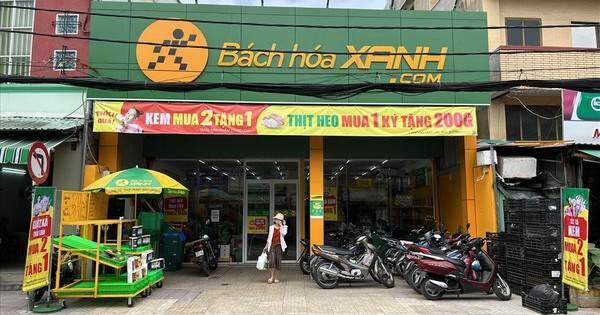 Quy mô chuỗi Bách Hóa Xanh lớn cỡ nào, kinh doanh ra sao?