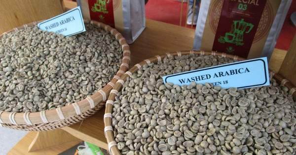 Robusta tiếp tục giảm nhưng Arabica tăng
