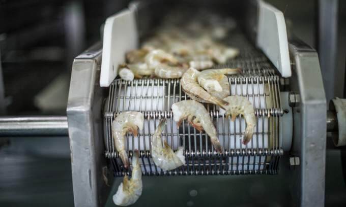 Shrimp exports expected to hit B in 2024