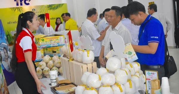 Thị trường Trung Quốc “hút hàng”, nhà máy dừa trong nước lại gặp nghịch cảnh