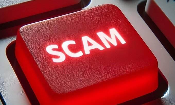Vietnamese lose 4M to online scams in 2024