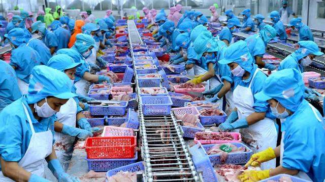 Xuất khẩu thuỷ sản cán đích 10 tỷ USD