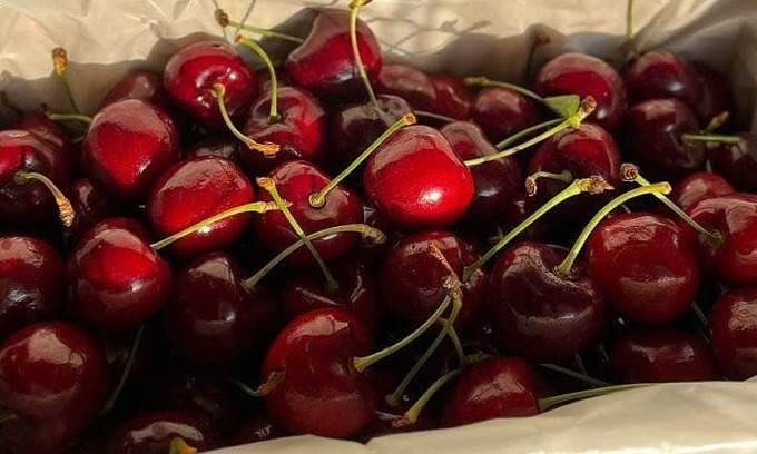 Cherries imported from New Zealand, Australia rise 35% to  per kilo ahead of Tet