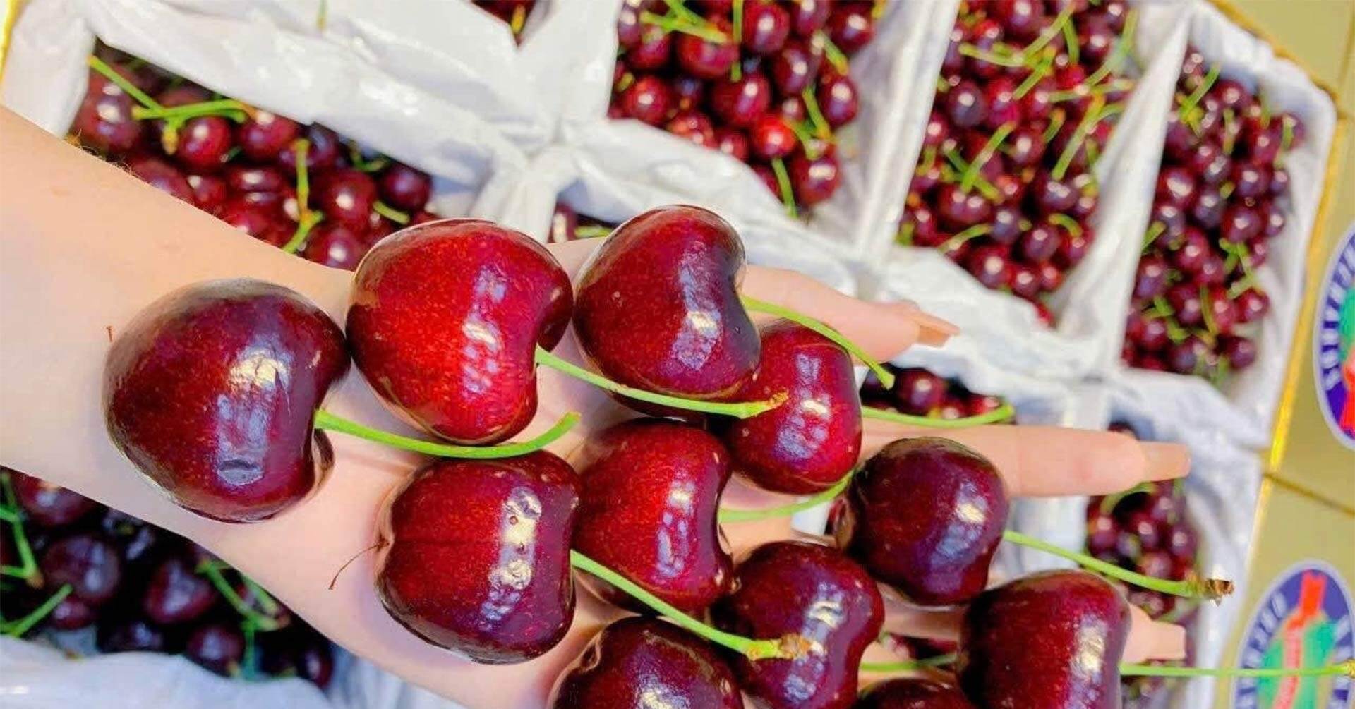 Cherry đắt đỏ vẫn ‘cháy hàng’, bất ngờ với ‘sầu riêng giải cứu’ 50.000 đồng/kg