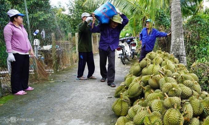 China imports 50% more durian from Vietnam