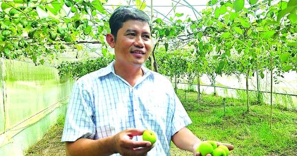 Khát khao tạo giá trị mới cho trái táo