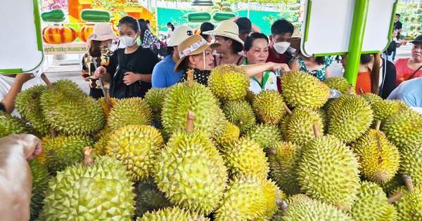 Sầu riêng chiếm gần 50% kim ngạch xuất khẩu toàn ngành rau quả Sầu riêng chiếm gần 50% kim ngạch xuất khẩu toàn ngành rau quả