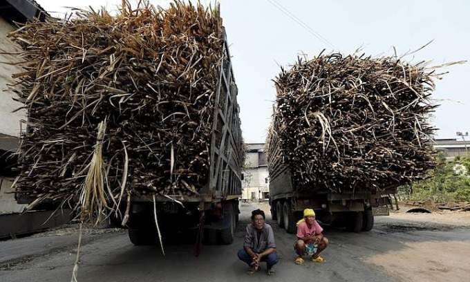 Thai businesses face up to M in losses from China’s syrup import ban