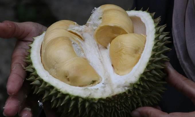 Vietnam eyes B in fruit, vegetable export value in 2025