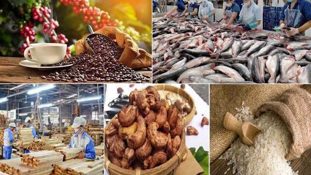 Xuất khẩu nông sản cần lưu ý những thay đổi về SPS từ các thị trường nhập khẩu